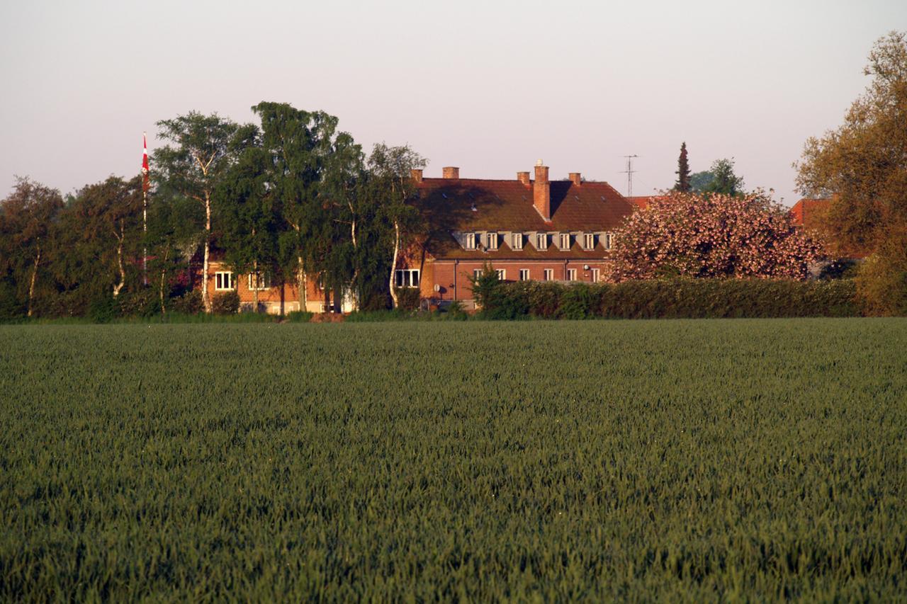 Hotel Lolland Norreballe ภายนอก รูปภาพ