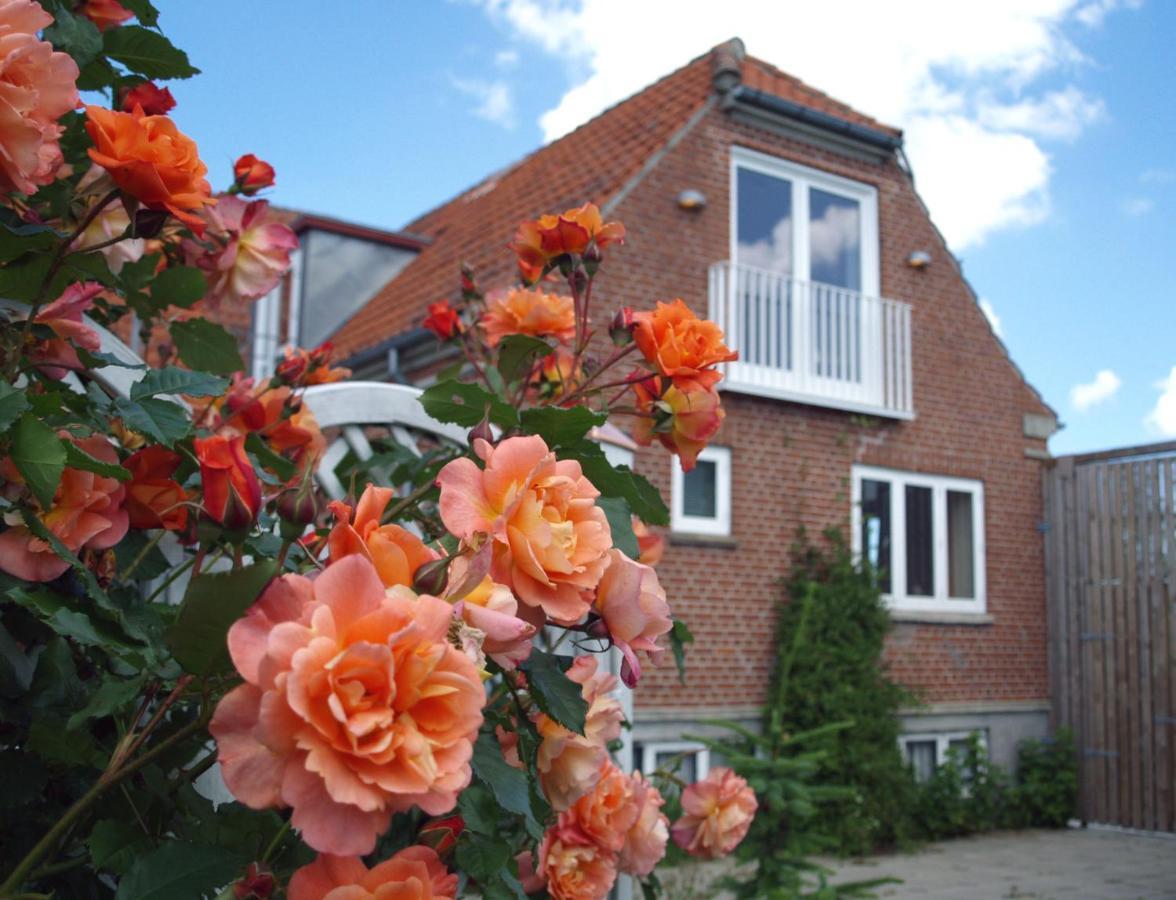 Hotel Lolland Norreballe ภายนอก รูปภาพ